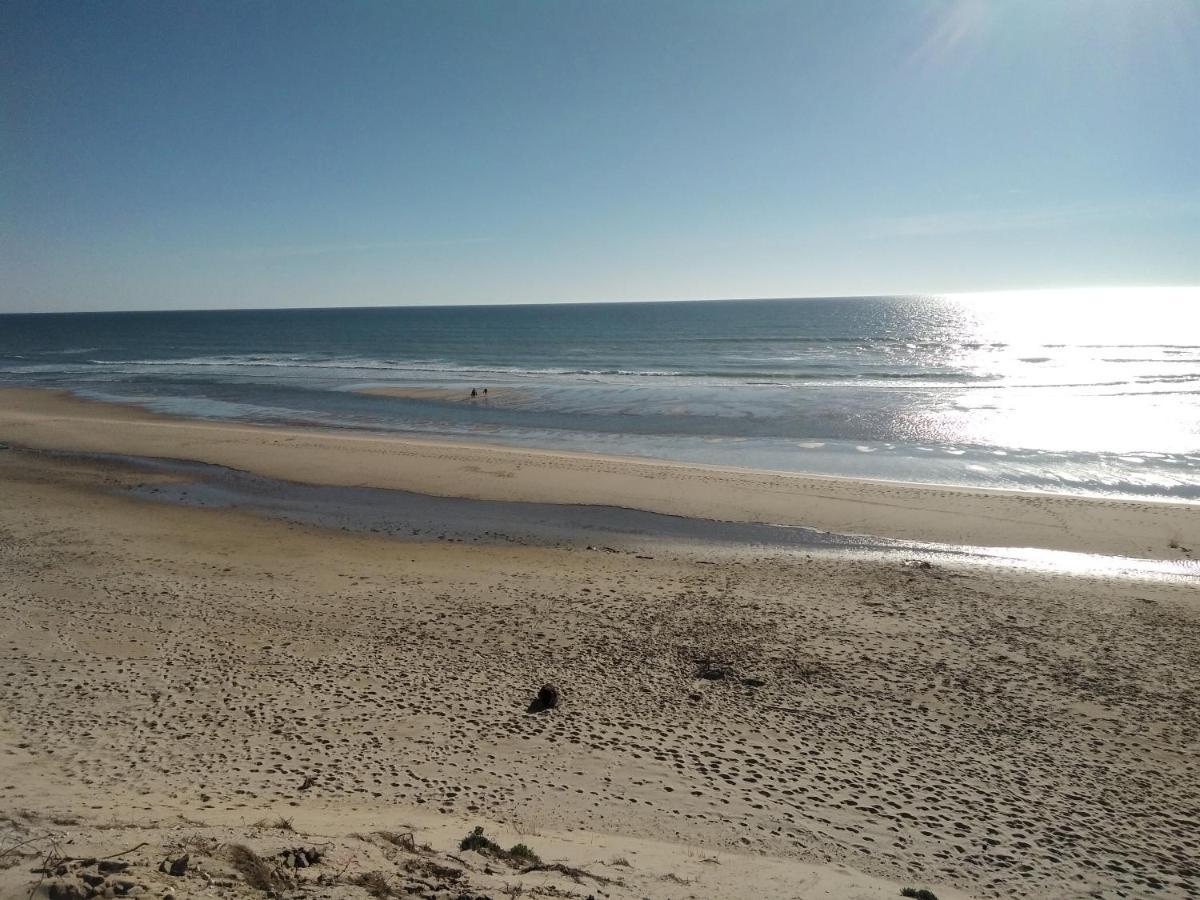 Zenzela Surf House Hotel Naujac-sur-Mer Kültér fotó